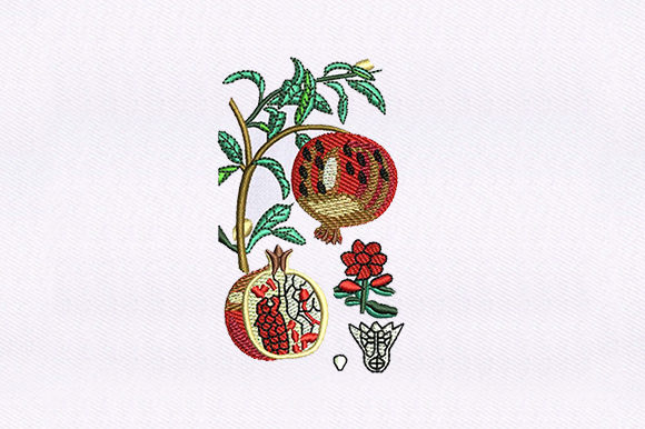 Vines Pomegranate Embroidery Design Review